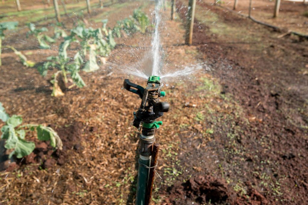 مصر.. سكان الغردقة يشرعون باستخدام المياه الرمادية للري