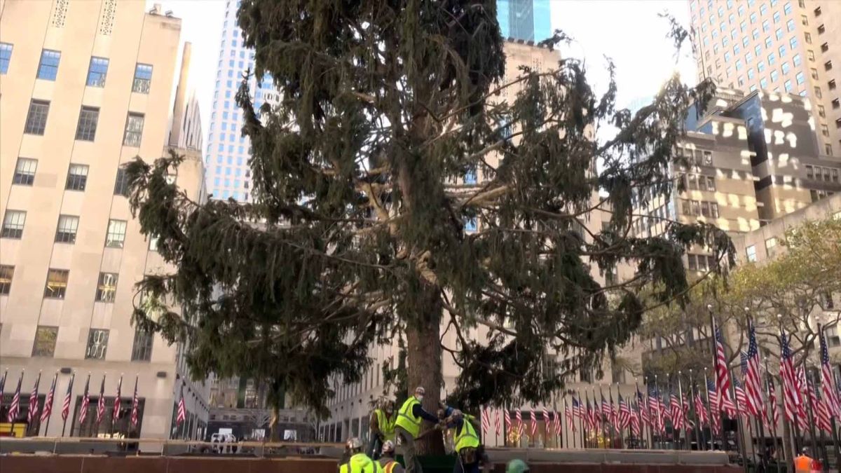 نصب شجرة عيد الميلاد في مركز روكفلر التجاري بنيويورك