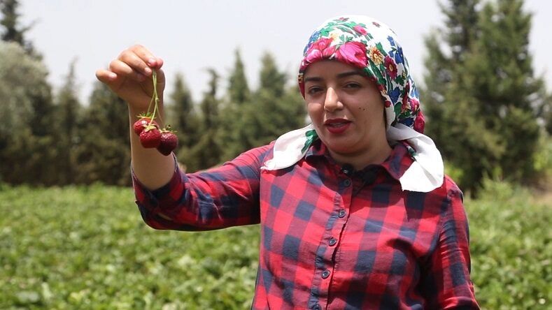 الشابة التونسية أسماء القماطي: العمل في الزراعة الحلّ الأمثل لمواجهة أزمة البطالة