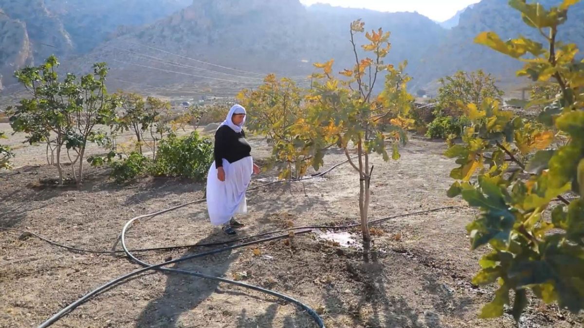 قرية طيرف.. من الظلمات إلى النور
