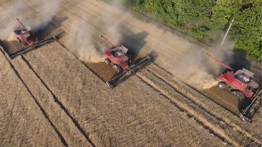 الحرب الروسية الأوكرانية تطرق باب مصر.. أزمة قمح تلوح في الأفق ؟