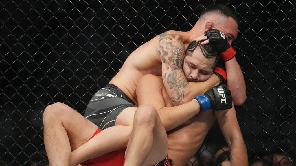 22 أكتوبر.. أبوظبي تستضيف "يو إف سي 281"