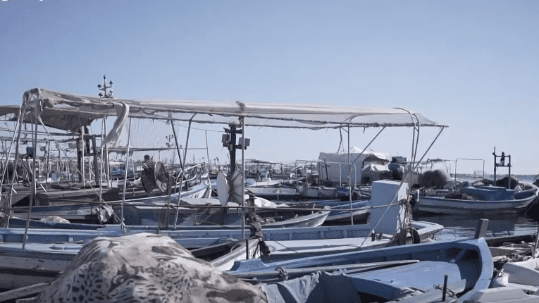 الصين تستحوذ على 75% من ثروة تونس السمكيّة.. والانفجار الاجتماعي والاقتصادي بات وشيكاً