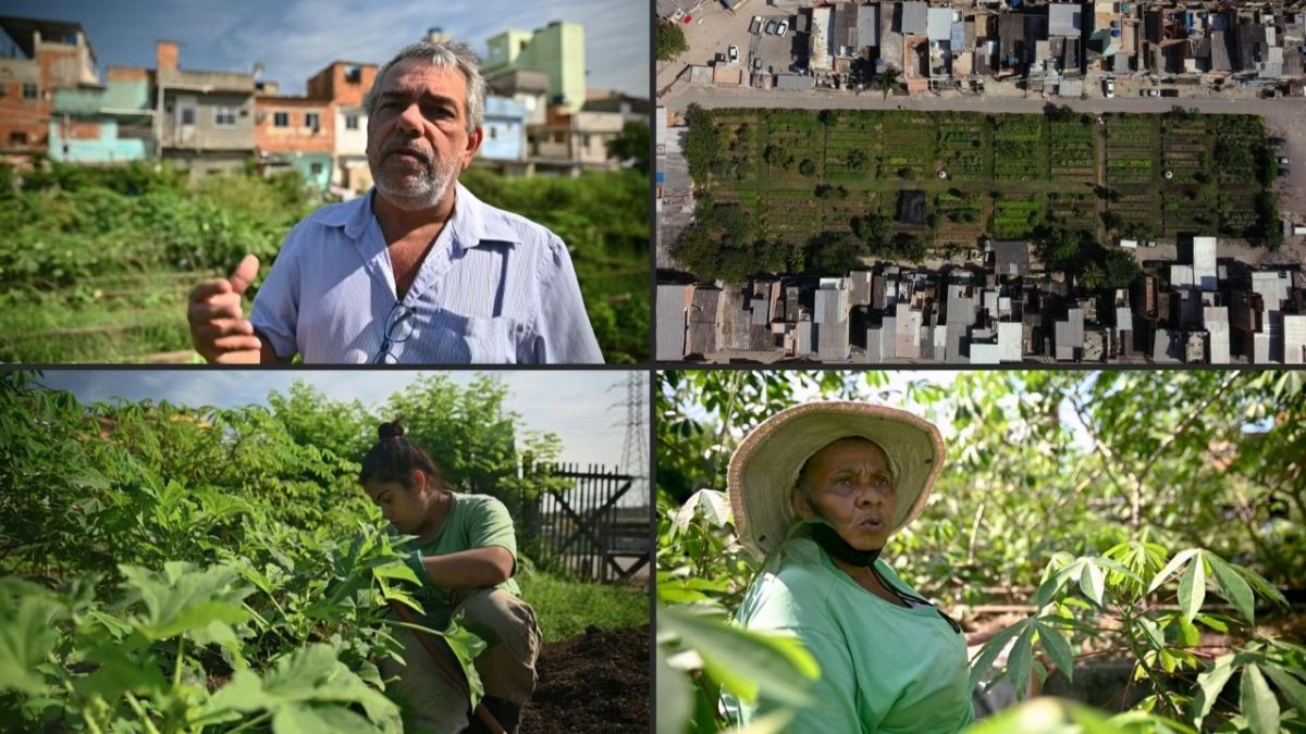 حديقة في ريو دي جانيرو توفّر الغذاء الصحي لعائلات محتاجة