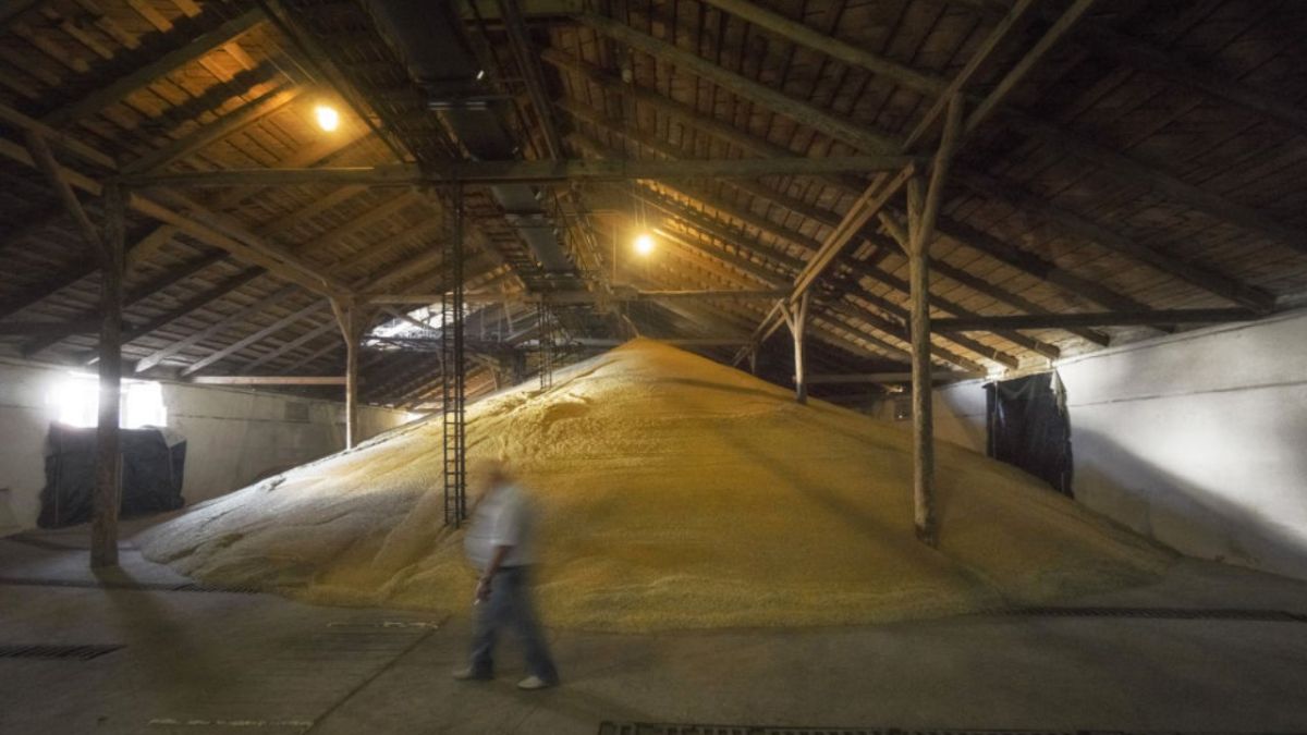 وزير خارجية فرنسا السابق لأخبار الآن: الروس يحاولون بيع احتياطيات قمح أوكرانيا لأي مشترٍ