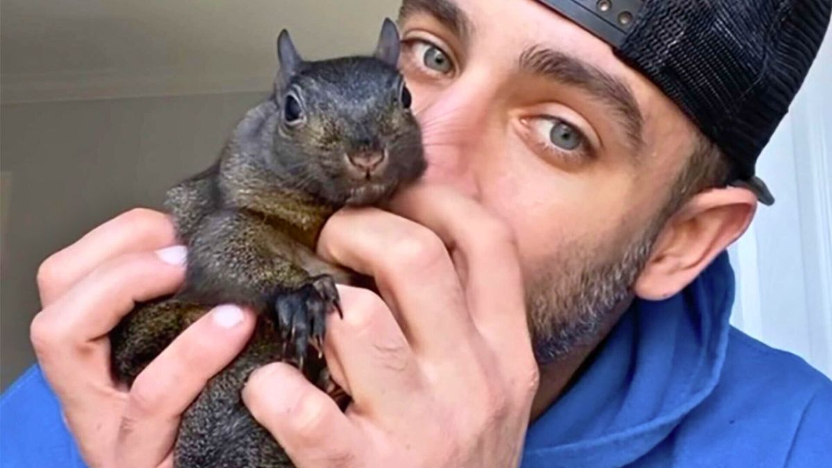 لديه أكثر من 600 ألف متابع.. ما قصة السنجاب "Peanut" الذي أنهى الموت الرحيم حياته؟